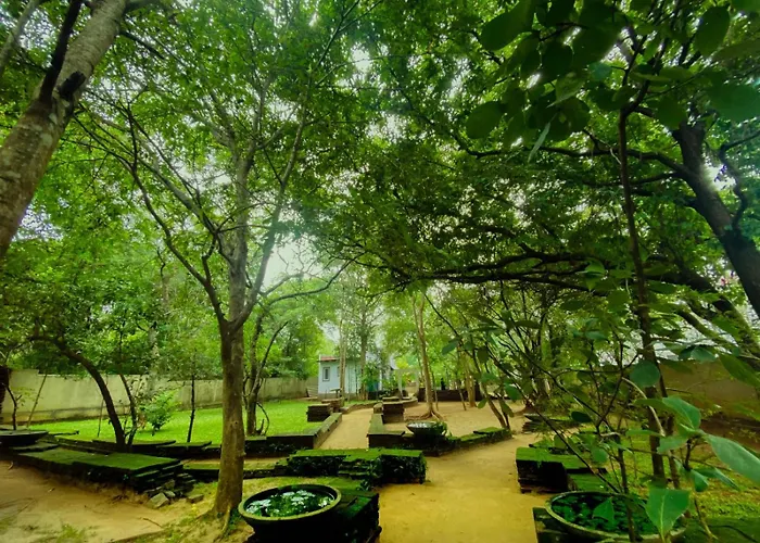 Twin Blocks Nature Resort