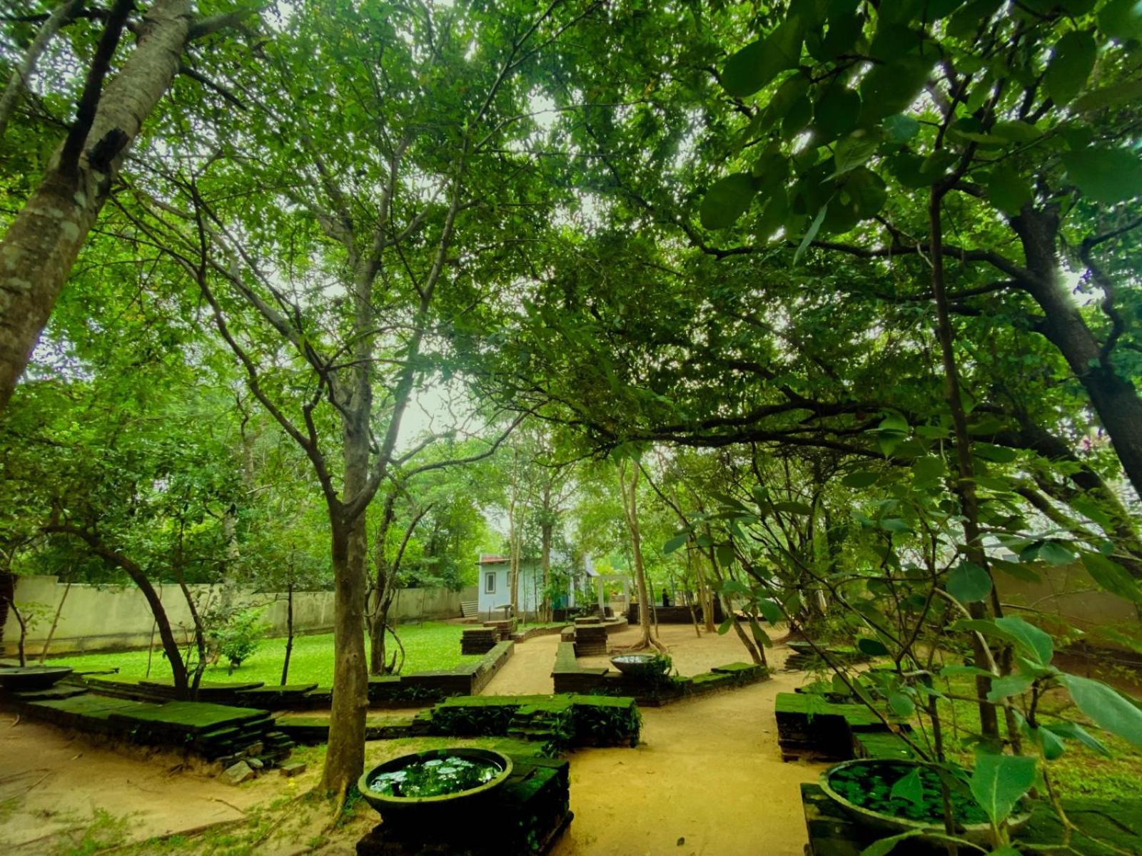 Twin Blocks Nature