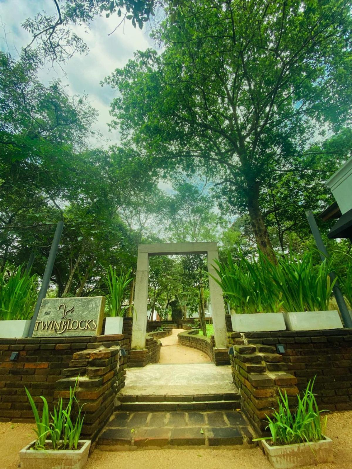 Twin Blocks Nature