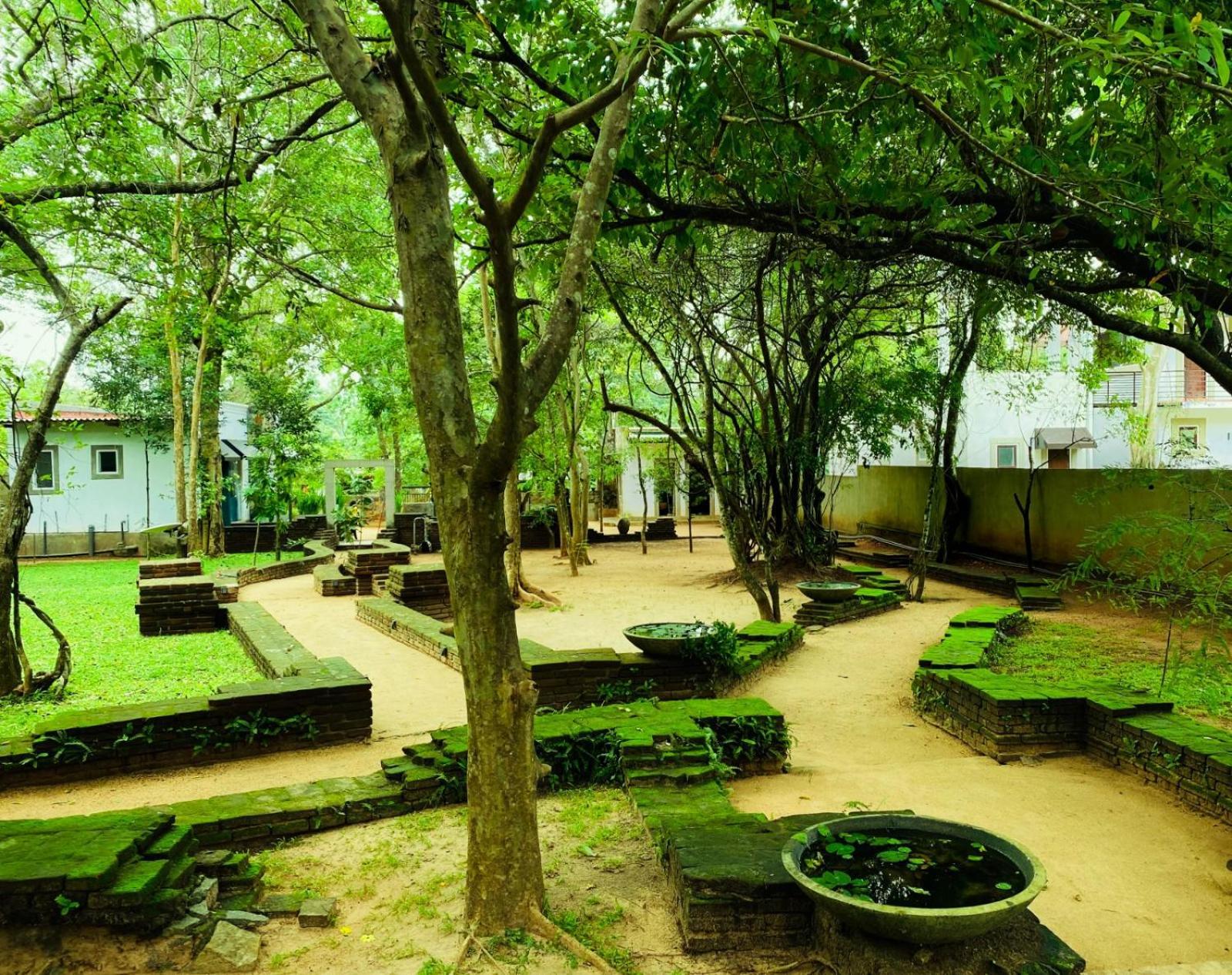Twin Blocks Nature